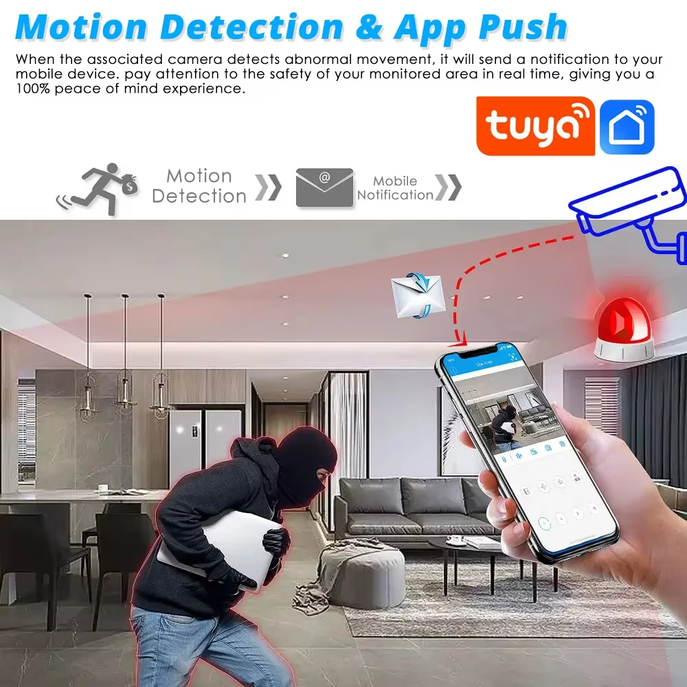 H.265 Smart Video Surveillance - Smart Home Cctv Camera 리뷰 및 가격