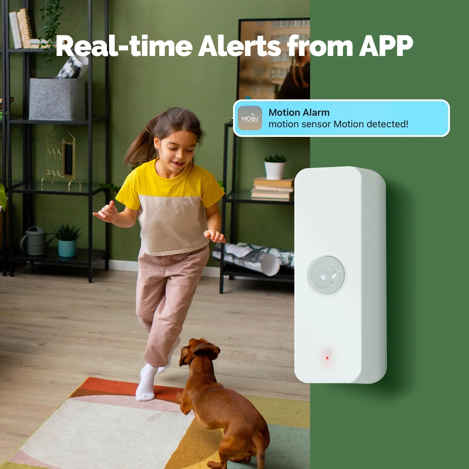 MOES Tuya WiFi/ZigBee Smart PI - Smart Home Ikea 리뷰 및 가격