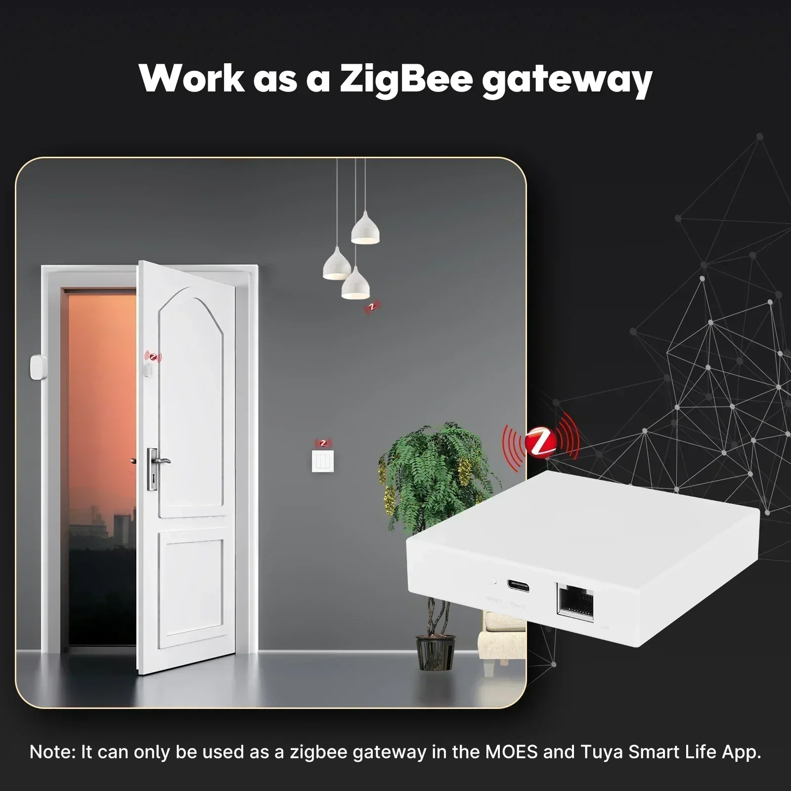MOES Tuya Zigbee Matter Thread - Smart Home Apple 리뷰 및 가격
