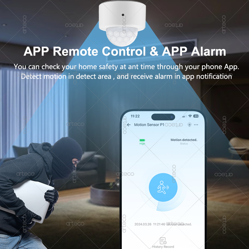 Ewelink Zigbee PIR Motion Sens - Zigbee Motion Sensor 리뷰 및 가격