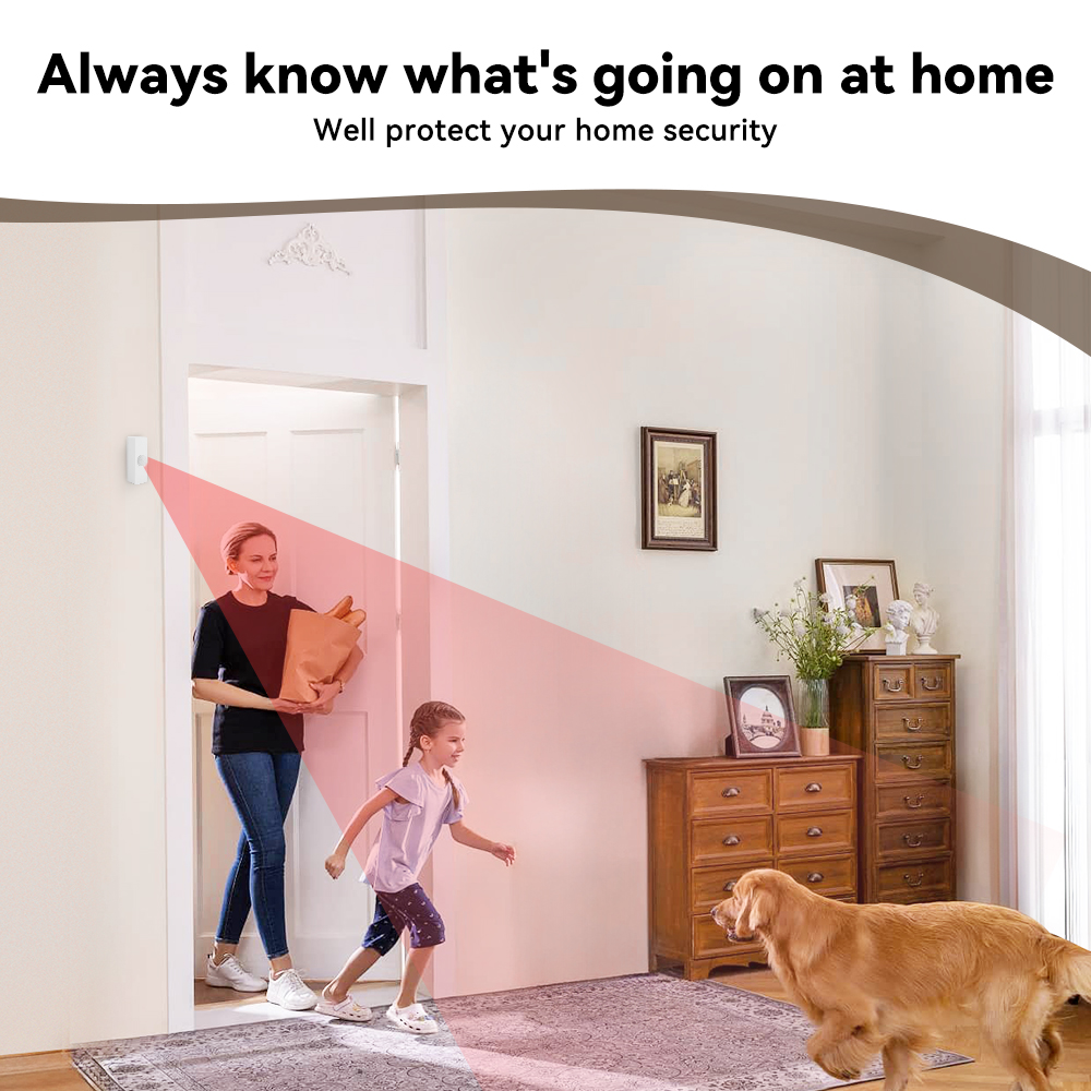 Tuya Smart PIR Motion Sensor S - Smart Home Monitor 리뷰 및 가격