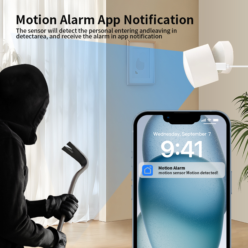 Zigbee or Wi-Fi Human Presence - Smart Home Monitor 리뷰 및 가격