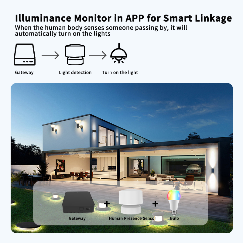 Zigbee or Wi-Fi Human Presence - Smart Home Monitor 리뷰 및 가격