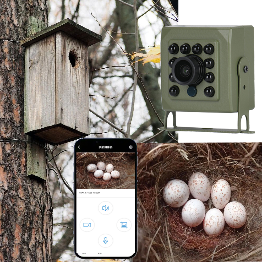 6MP 4MP POE 2K Tuya Mini Wirel - Smart Home Cctv Camera 리뷰 및 가격