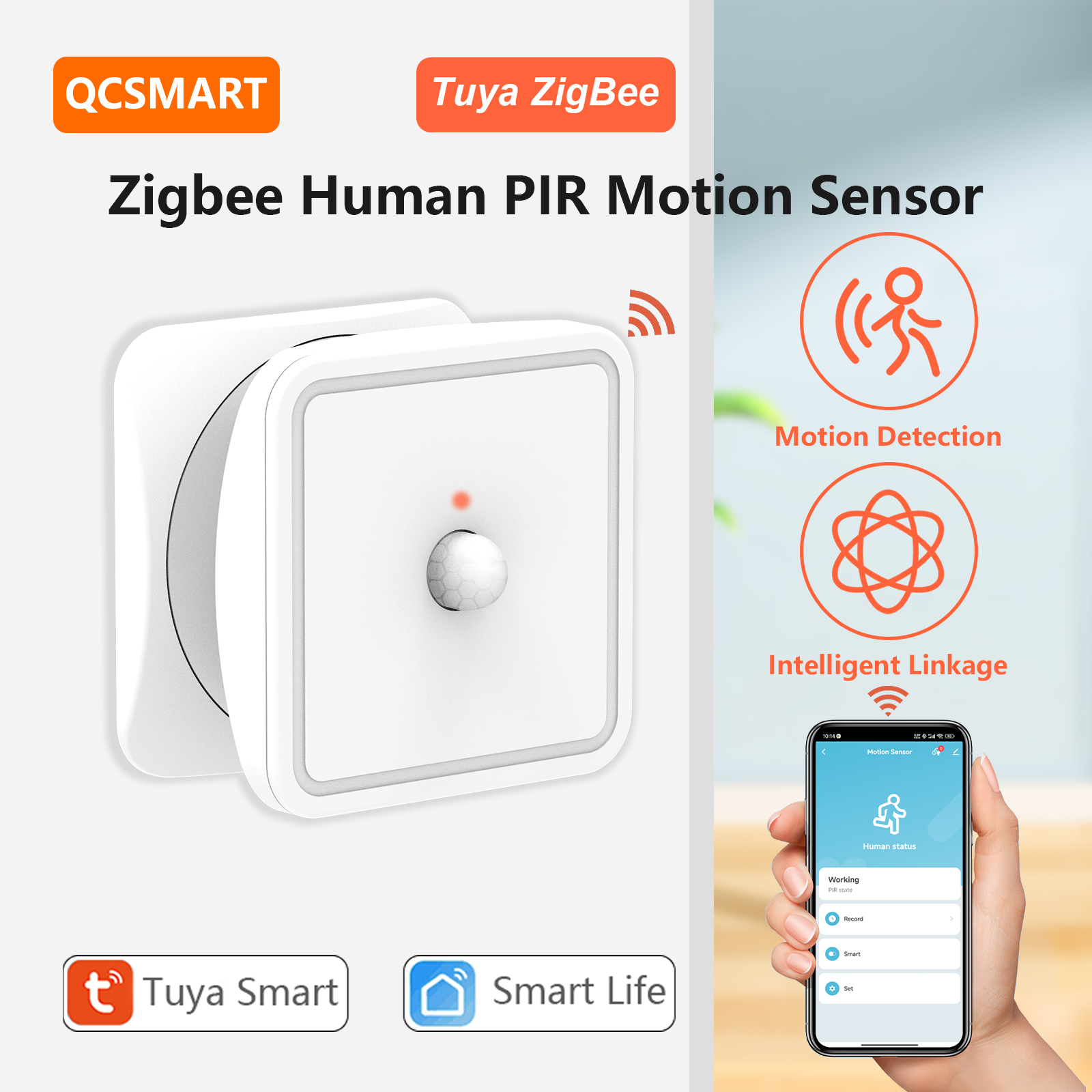 Tuya ZigBee Human Motion Senso - Zigbee Motion Sensor 리뷰 및 가격