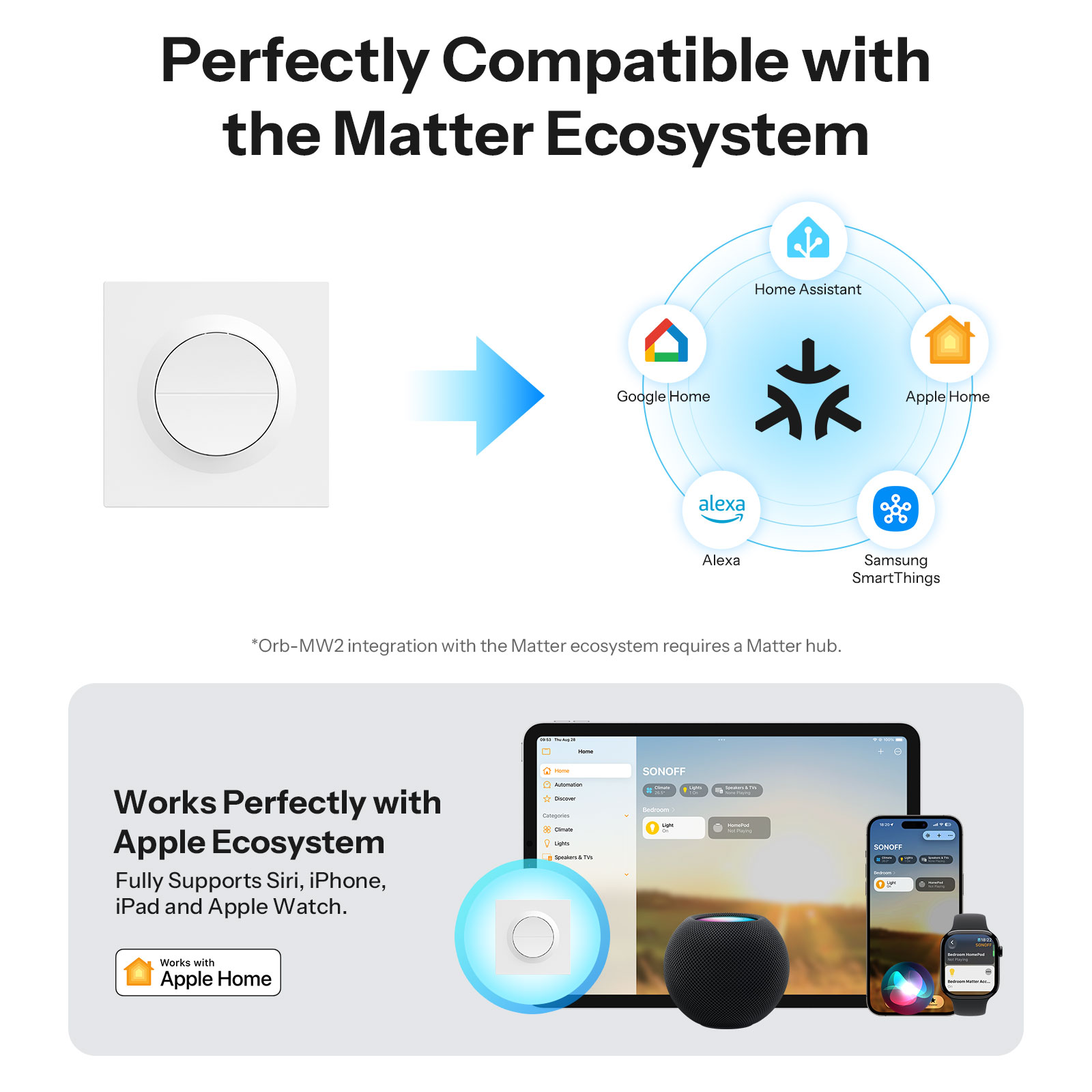 SONOFF MINI-2GS-E Matter Over  - Smart Home Apple 리뷰 및 가격
