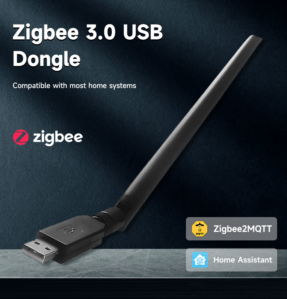 Long Range ZigBee 3.0 USB Dong - Zigbee Gateway 리뷰 및 가격