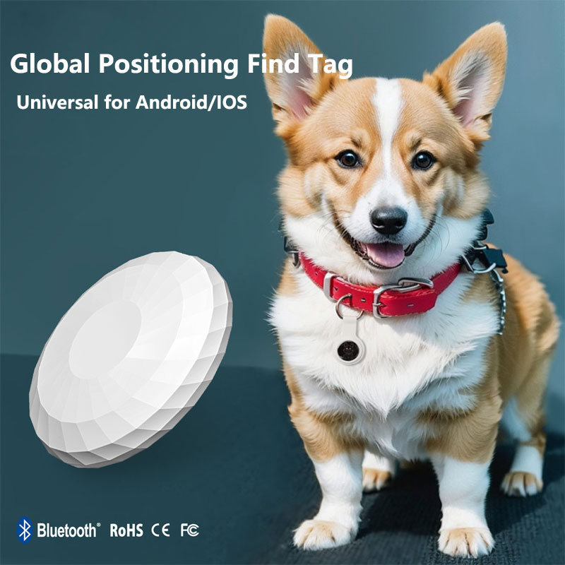 Smart Tag Really Global Positi - Smart Home Apple 리뷰 및 가격