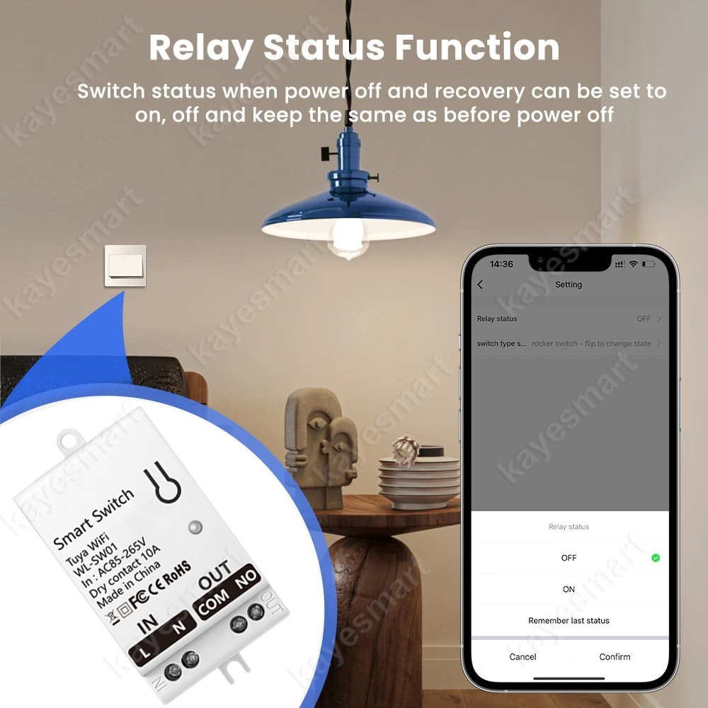 Tuya WiFi Smart Switch Module  - Smart Home Button 리뷰 및 가격