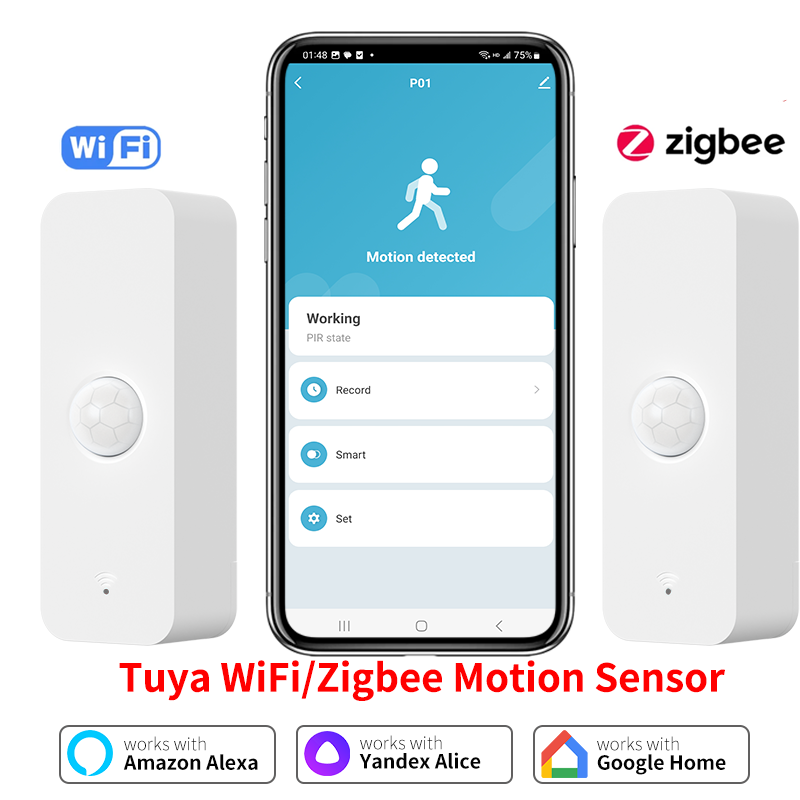 Tuya WiFi Zigbee PIR Motion Se - Zigbee Motion Sensor 리뷰 및 가격