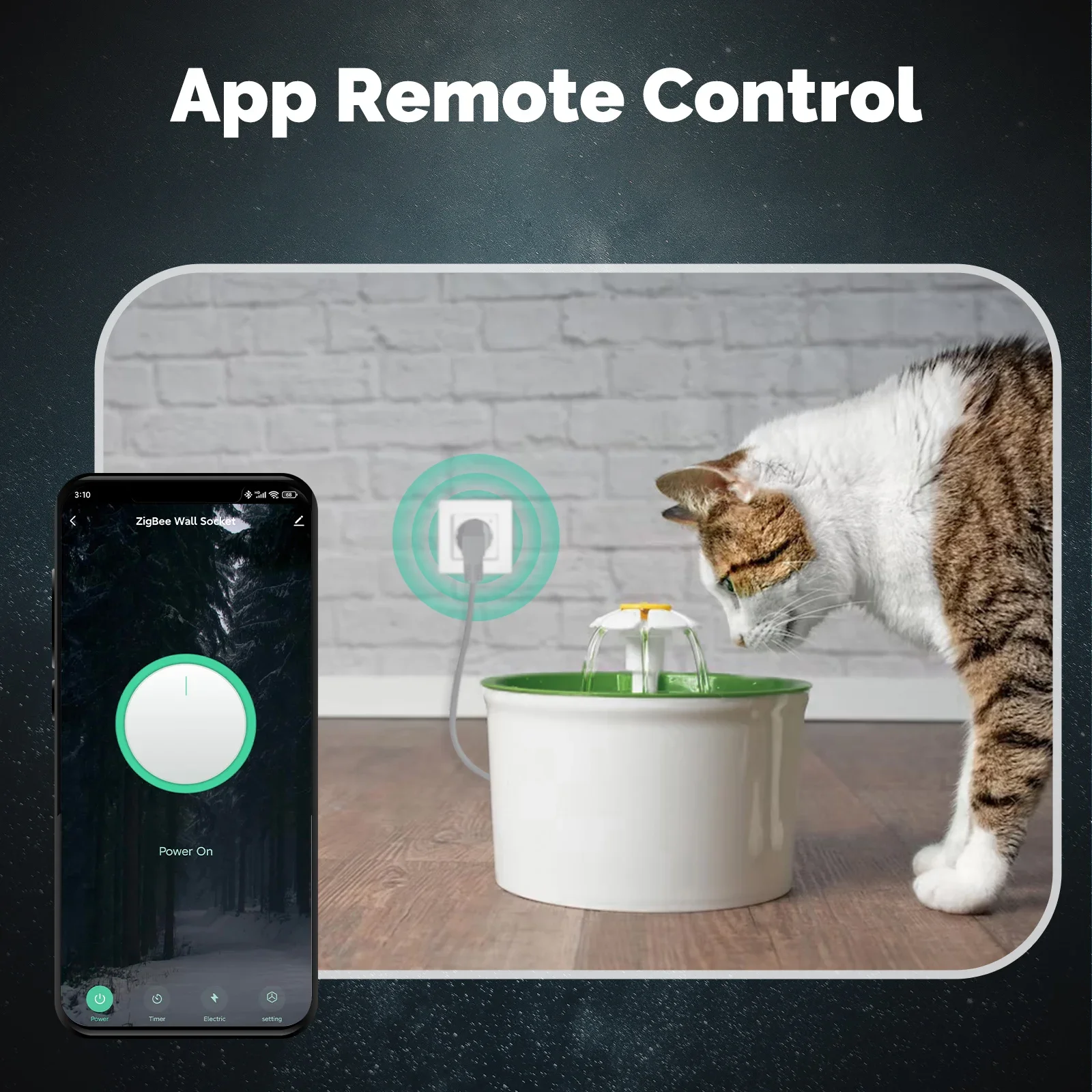 MOES Tuya ZigBee Smart Socket  - Smart Home Monitor 리뷰 및 가격