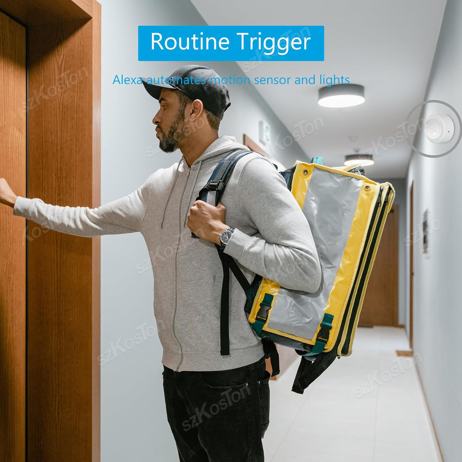 eWelink APP Zigbee Motion Sens - Smart Home Security 리뷰 및 가격