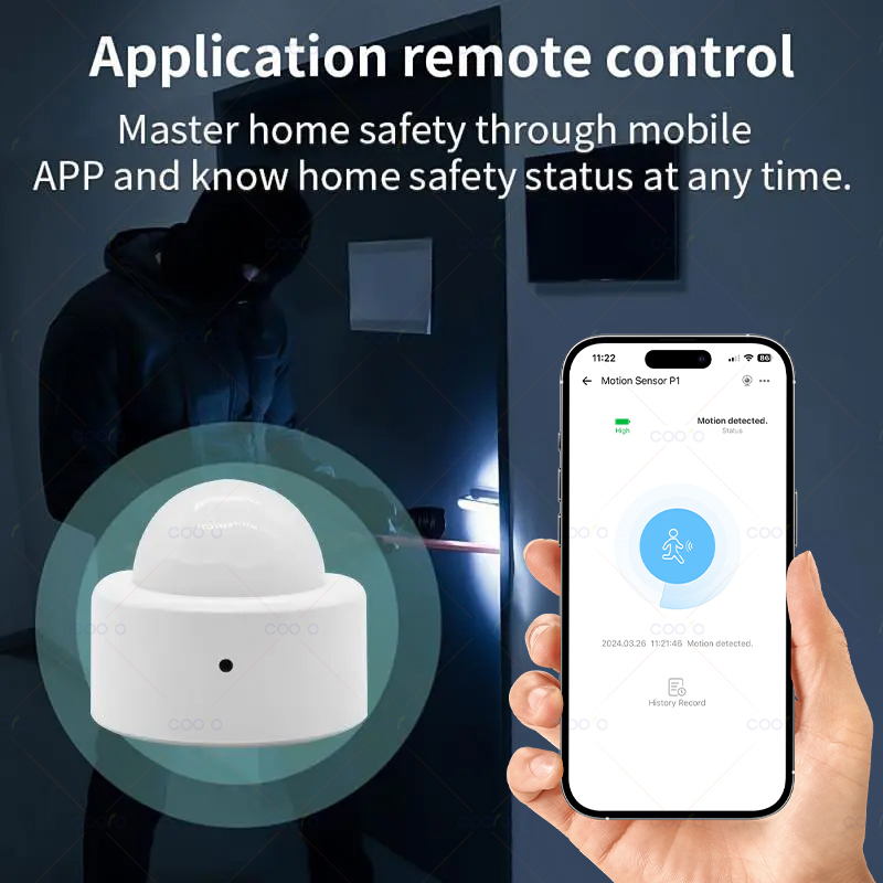 Zigbee Mini PIR Motion Sensor  - Zigbee Motion Sensor 리뷰 및 가격